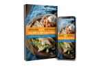 30 Healthy 200, 300, and 400 Calorie Recipes